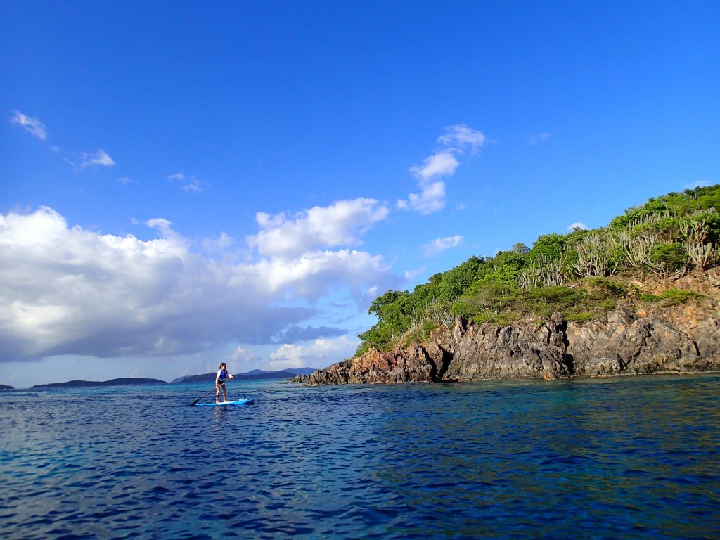 Person on paddleboard looking out on green island